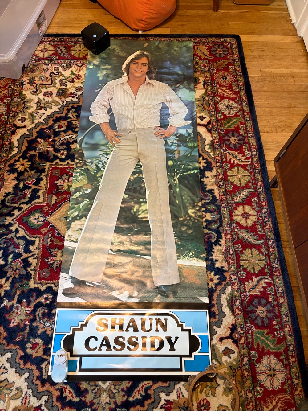 Vintage 1977 Giant Shaun Cassidy Door poster!